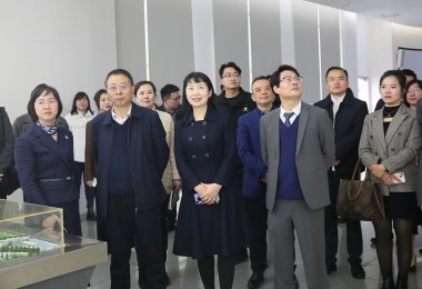華時(shí)捷科技參加湘江新區(qū)“結(jié)伴同行·海外領(lǐng)秀”座談會(huì)，共謀國際化發(fā)展新路徑